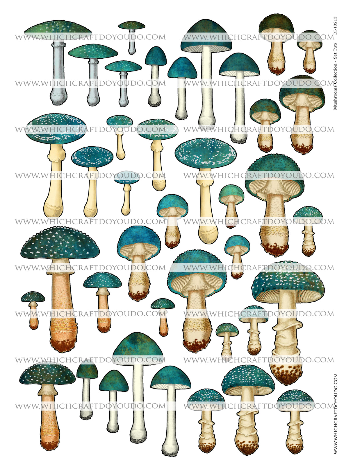 Mushroom Collection - Set Two - DI-10213 - Digital Download