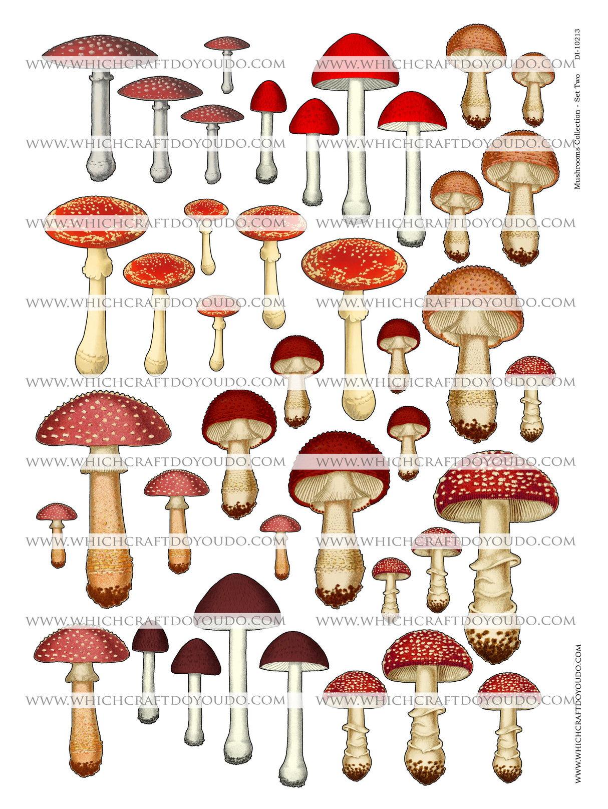 Mushroom Collection - Set Two - DI-10213 - Digital Download