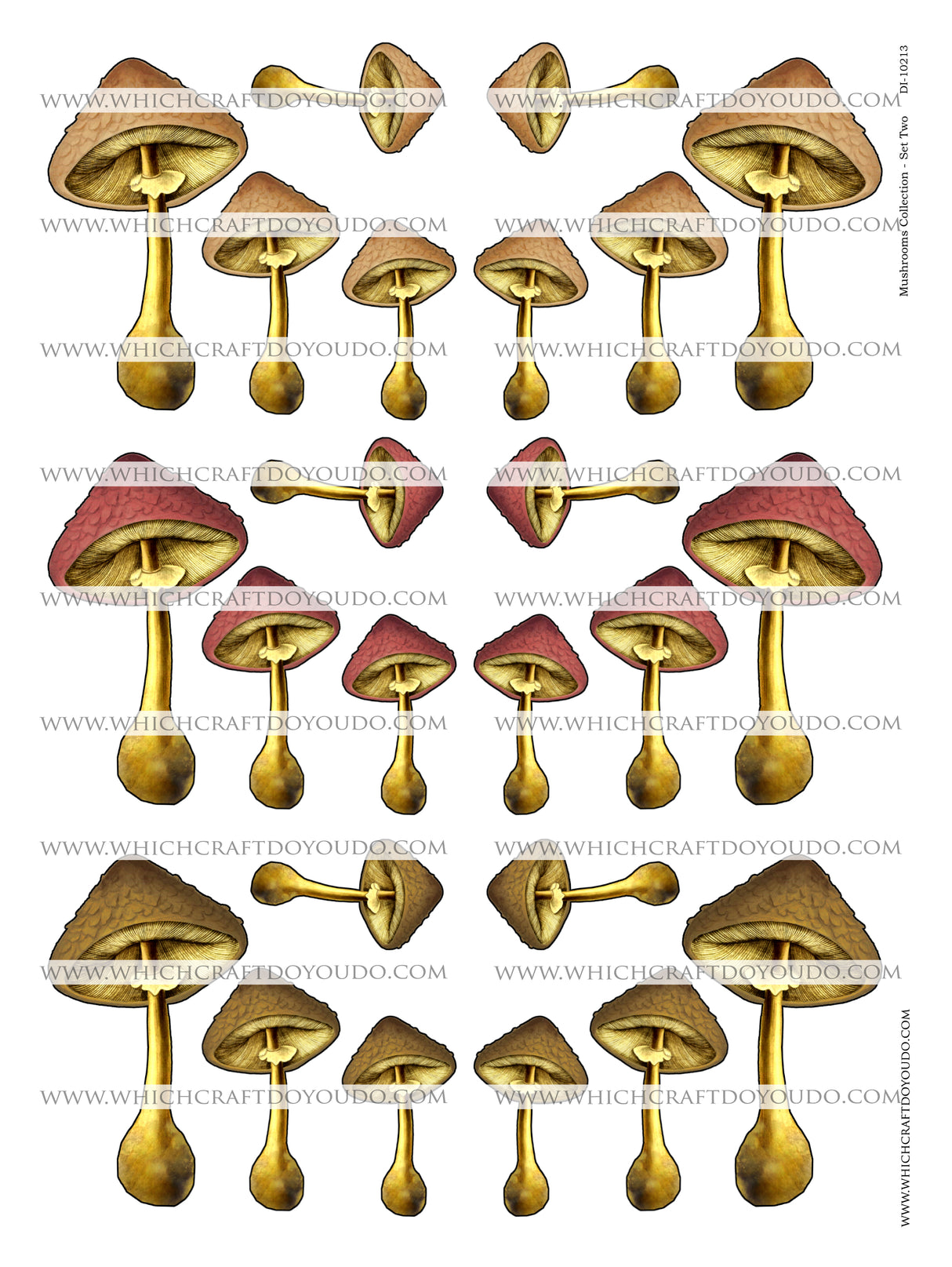 Mushroom Collection - Set Two - DI-10213 - Digital Download