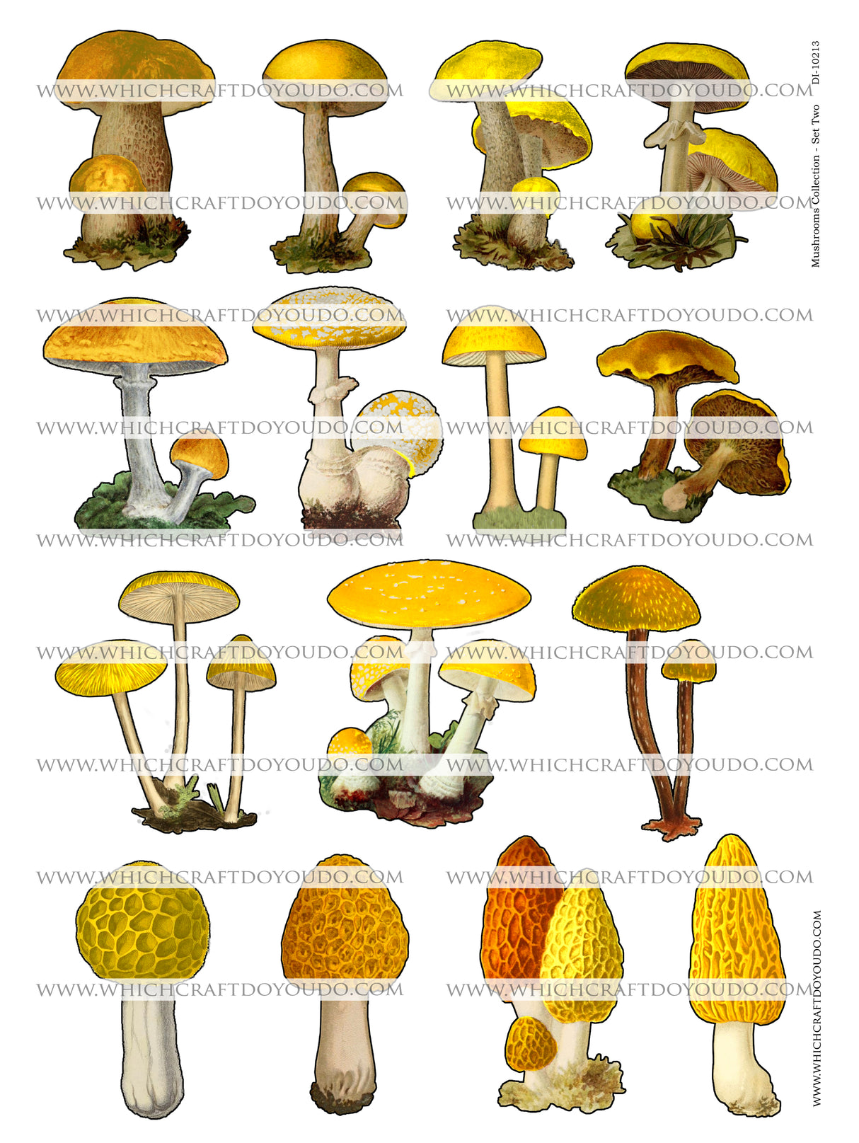 Mushroom Collection - Set Two - DI-10213 - Digital Download