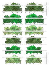 Mushroom Collection - Set Two - DI-10213 - Digital Download