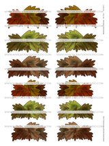 Mushroom Collection - Set Two - DI-10213 - Digital Download