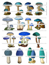 Mushroom Collection - Set Two - DI-10213 - Digital Download