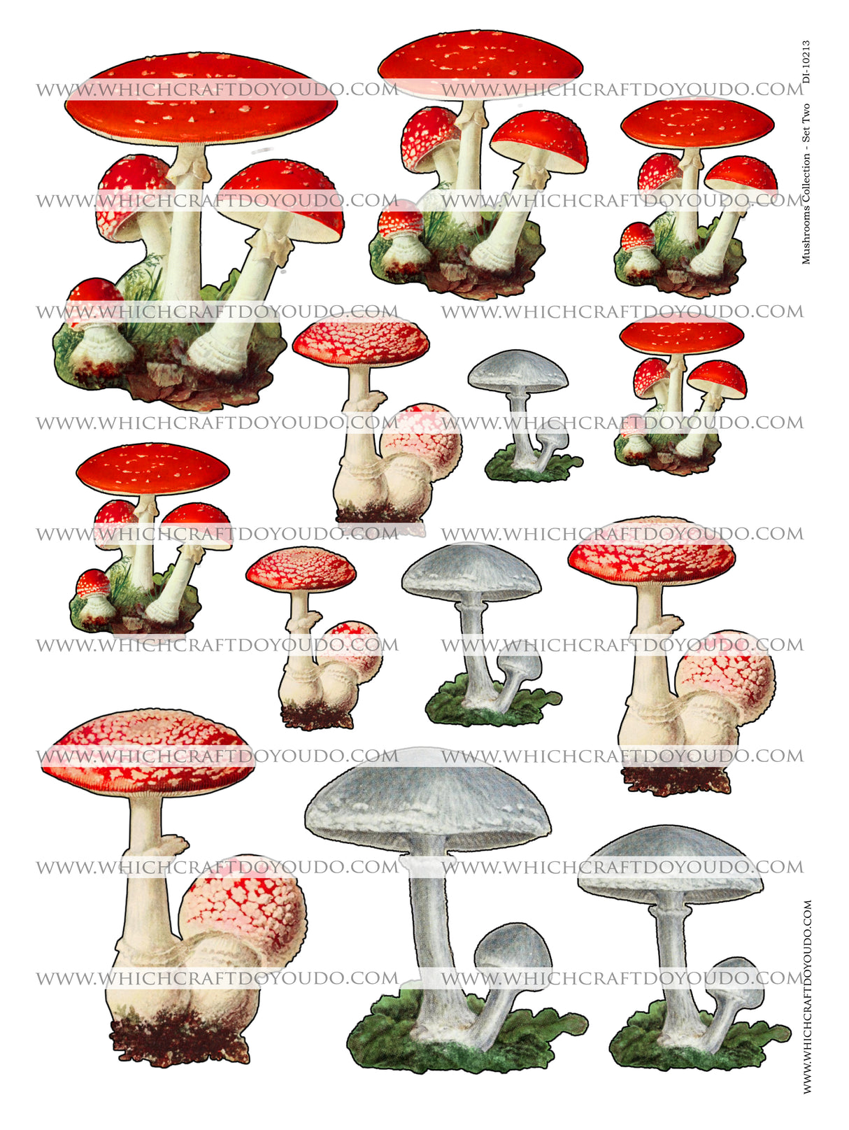 Mushroom Collection - Set Two - DI-10213 - Digital Download