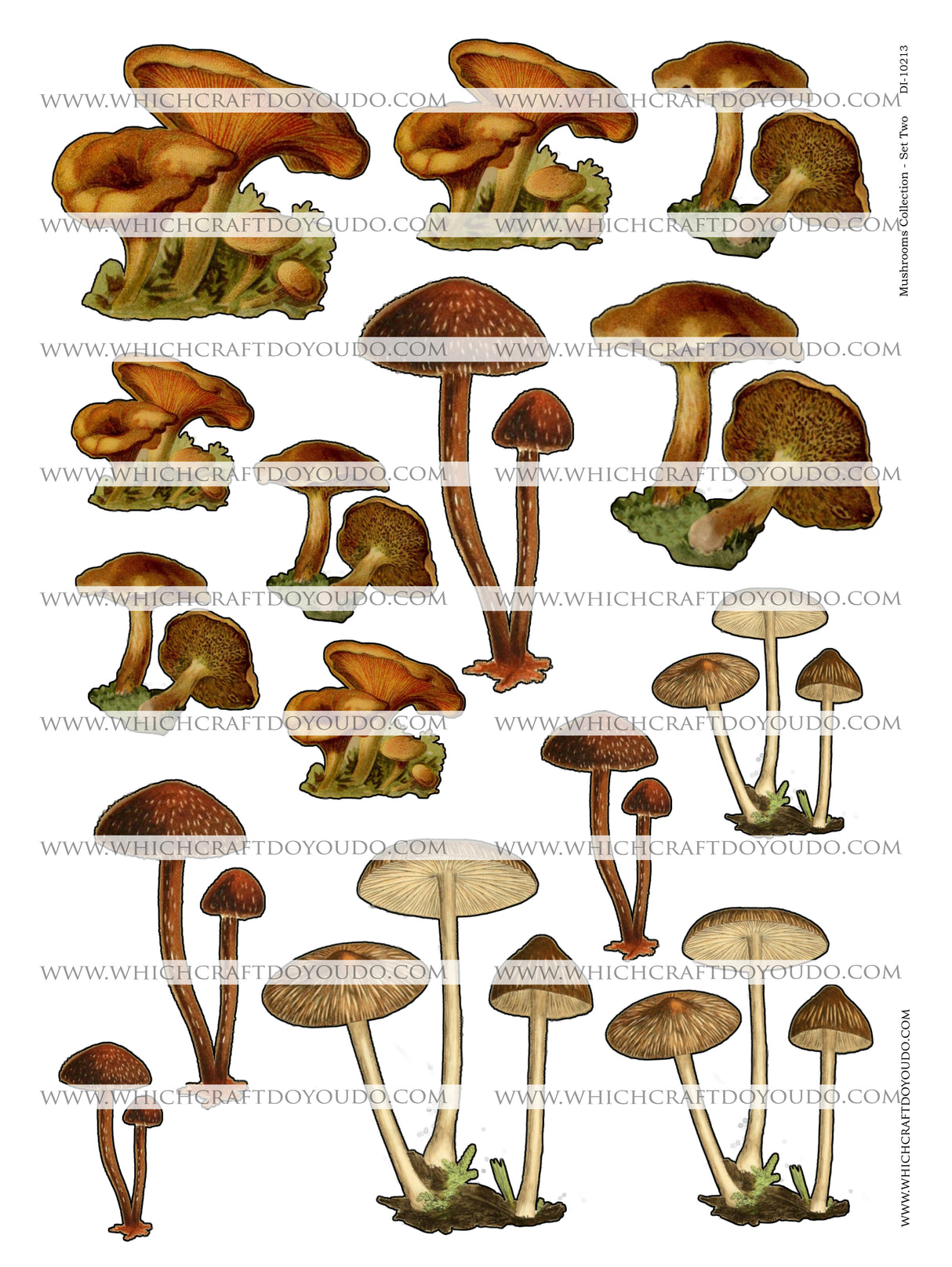 Mushroom Collection - Set Two - DI-10213 - Digital Download