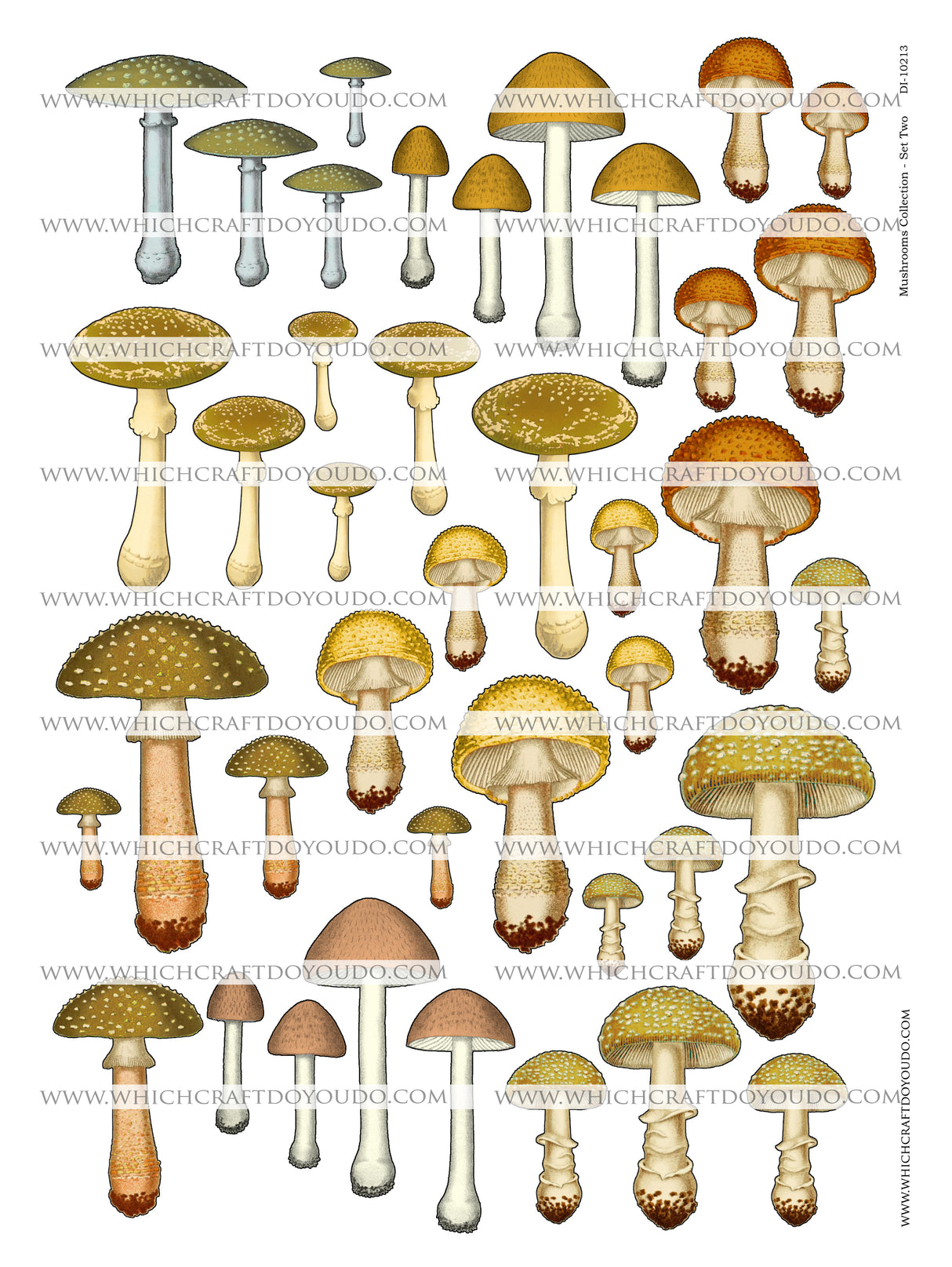 Mushroom Collection - Set Two - DI-10213 - Digital Download