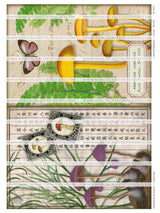 Mushroom Ephemera Collection - Set One - DI-10212 - Digital Download