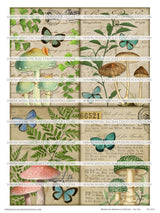 Mushroom Ephemera Collection - Set One - DI-10212 - Digital Download