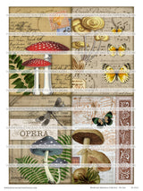 Mushroom Ephemera Collection - Set One - DI-10212 - Digital Download