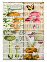 Mushroom Ephemera Collection - Set One - DI-10212 - Digital Download