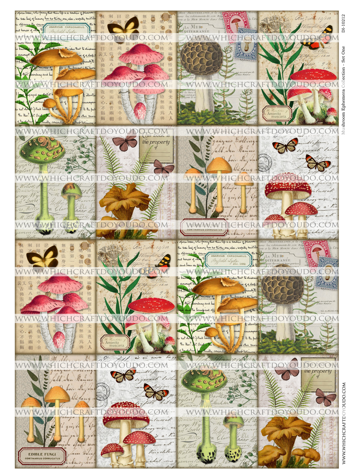 Mushroom Ephemera Collection - Set One - DI-10212 - Digital Download