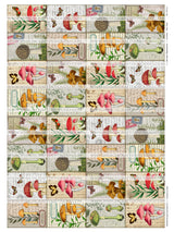 Mushroom Ephemera Collection - Set One - DI-10212 - Digital Download