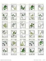 Plants Collection - Set One - DI-10191- Digital Download