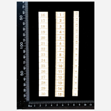 Laser Engraved Ruler Pieces - White Chipboard