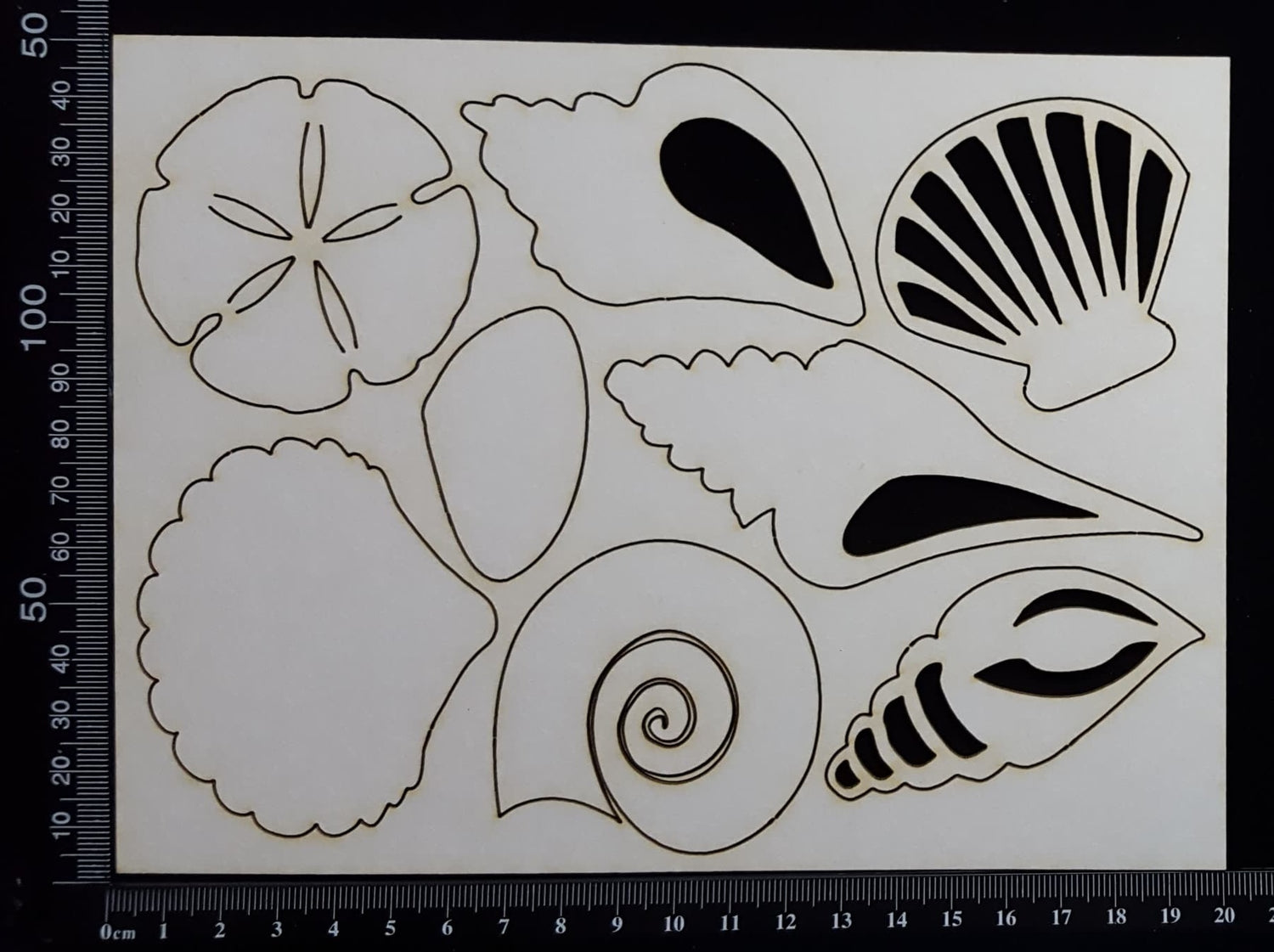 Shells Set - A - Large - White Chipboard