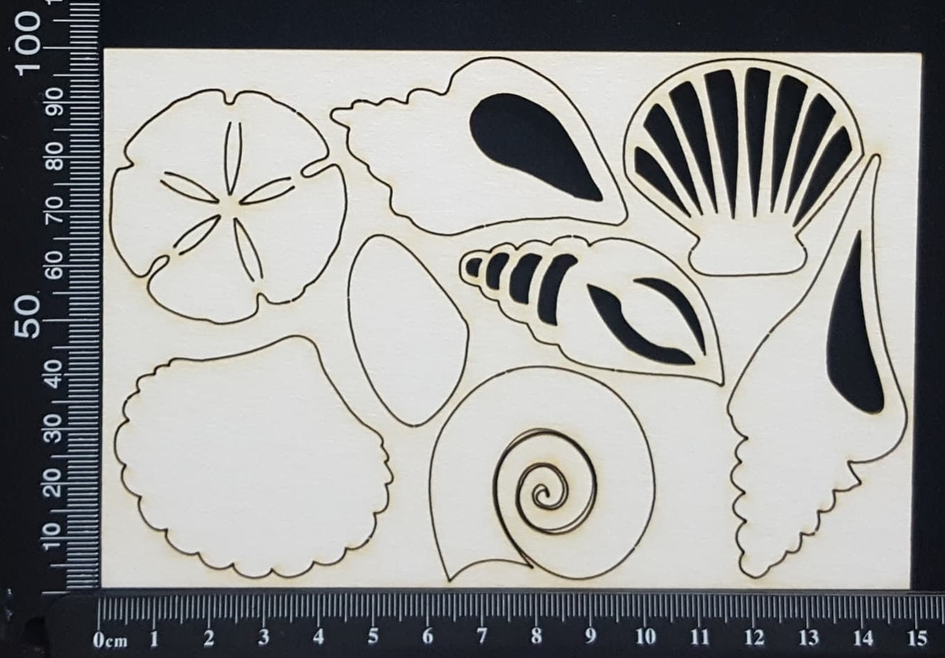 Shells Set - B - Small - White Chipboard