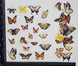 Stickers - Butterflies - (SP-4181)
