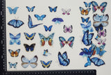 Stickers - Butterflies - (SP-4184)