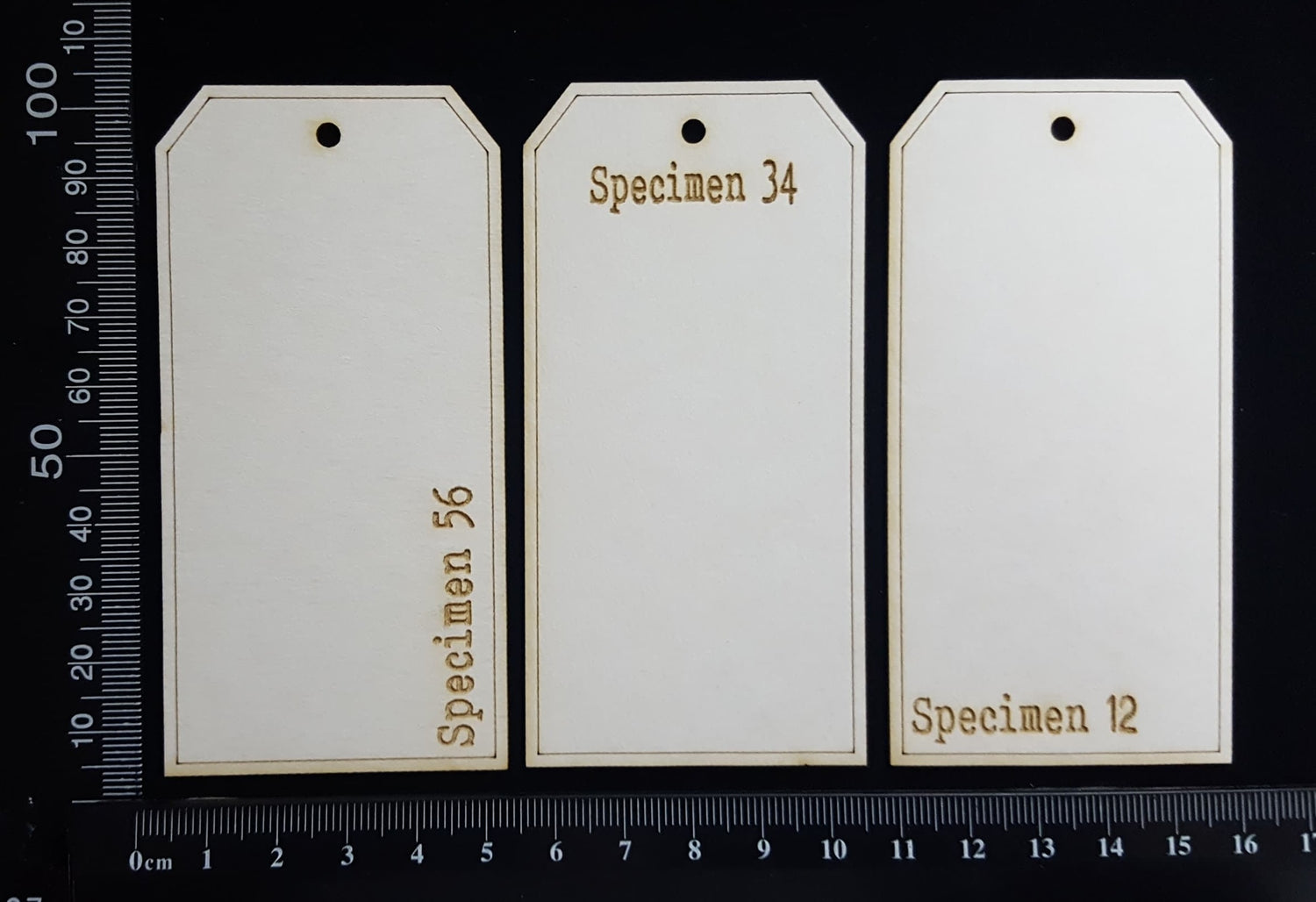 The Collector Tag Set - Small - Specimen - White Chipboard