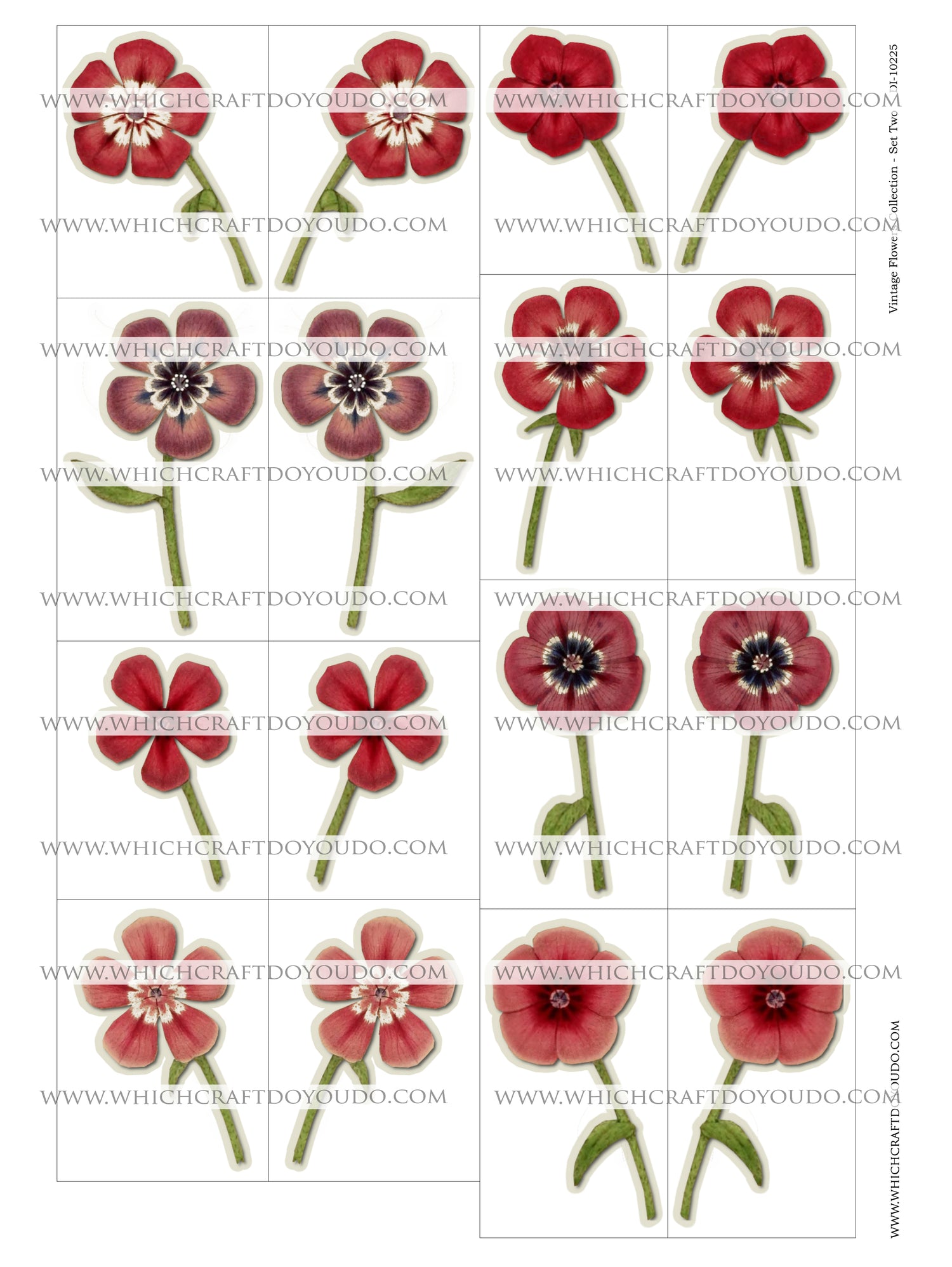 Vintage Flowers Collection - Set Two - DI-10225 - Digital Download