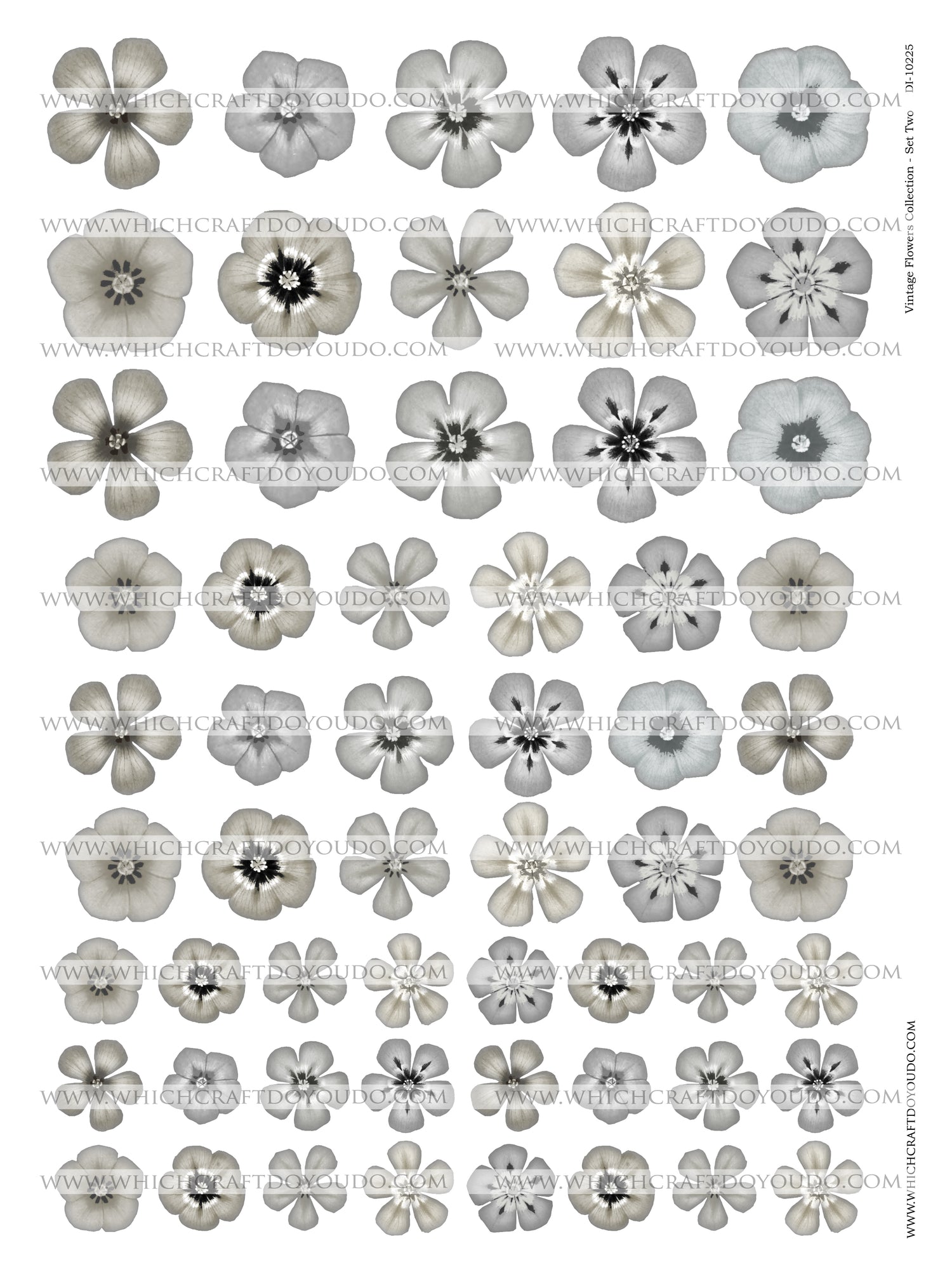 Vintage Flowers Collection - Set Two - DI-10225 - Digital Download