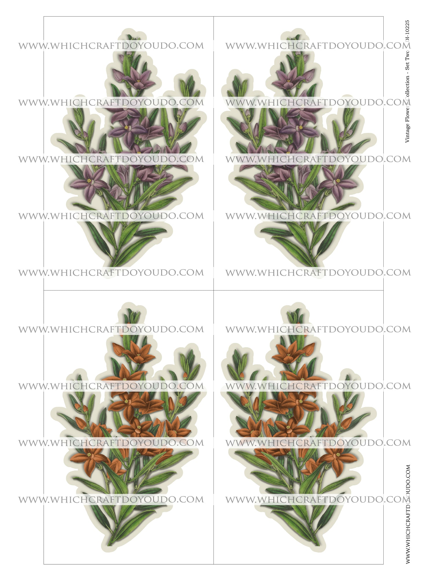 Vintage Flowers Collection - Set Two - DI-10225 - Digital Download