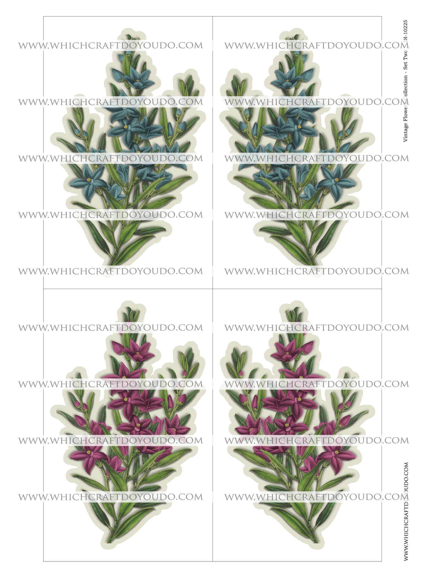 Vintage Flowers Collection - Set Two - DI-10225 - Digital Download