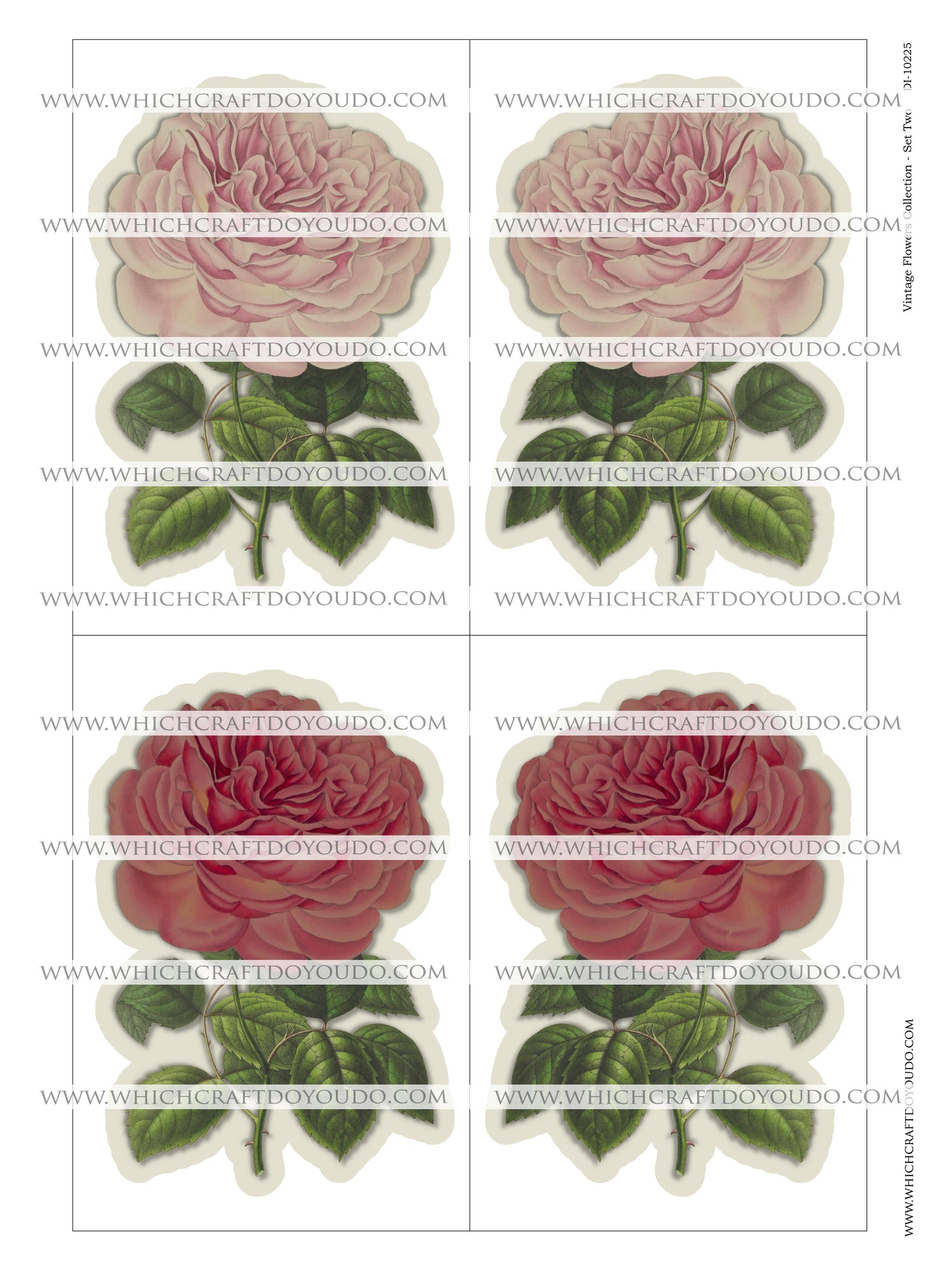 Vintage Flowers Collection - Set Two - DI-10225 - Digital Download