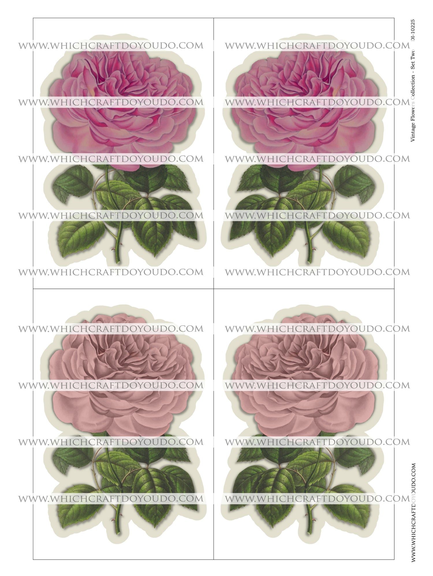 Vintage Flowers Collection - Set Two - DI-10225 - Digital Download