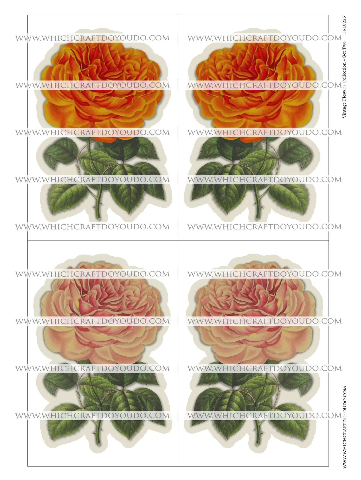 Vintage Flowers Collection - Set Two - DI-10225 - Digital Download