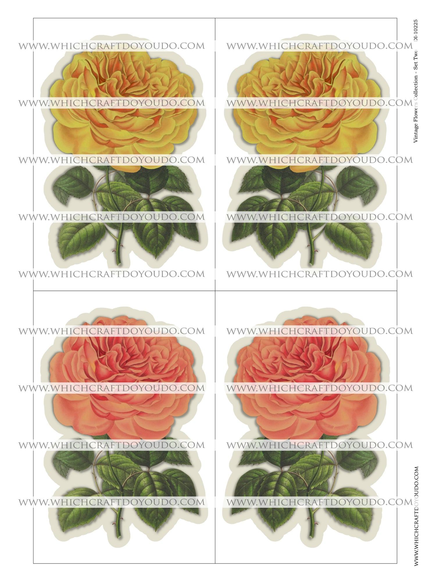 Vintage Flowers Collection - Set Two - DI-10225 - Digital Download
