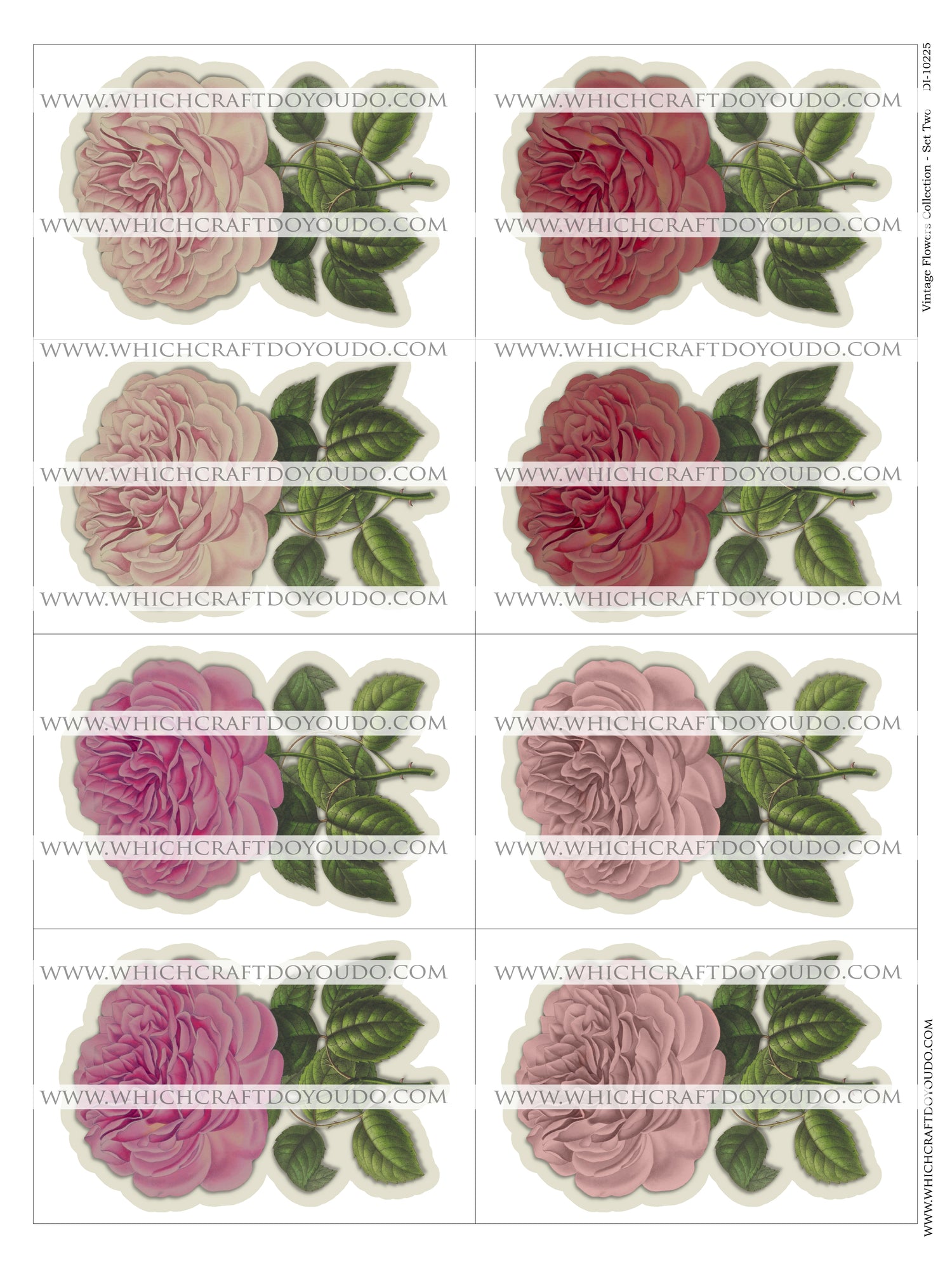 Vintage Flowers Collection - Set Two - DI-10225 - Digital Download