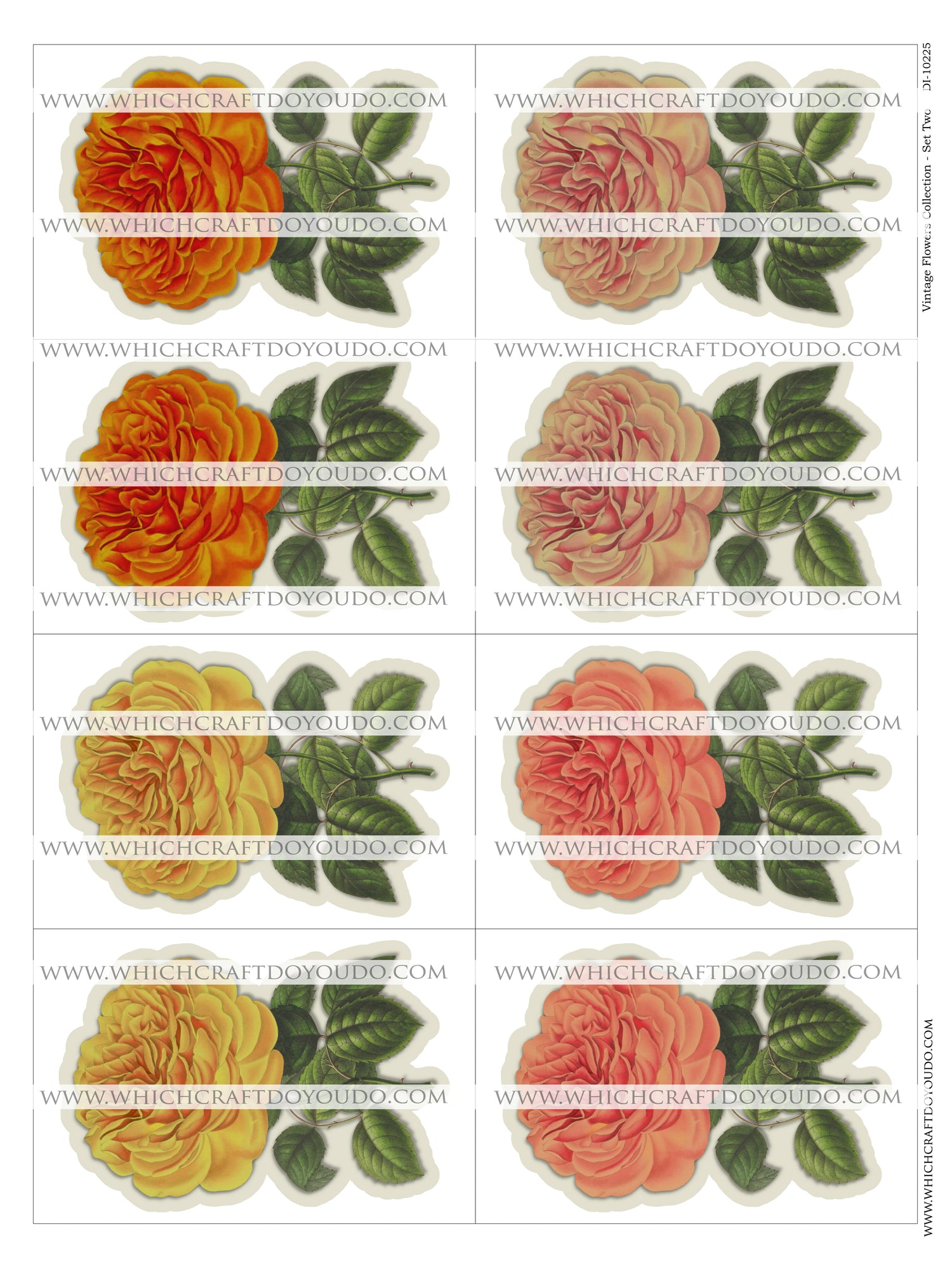 Vintage Flowers Collection - Set Two - DI-10225 - Digital Download