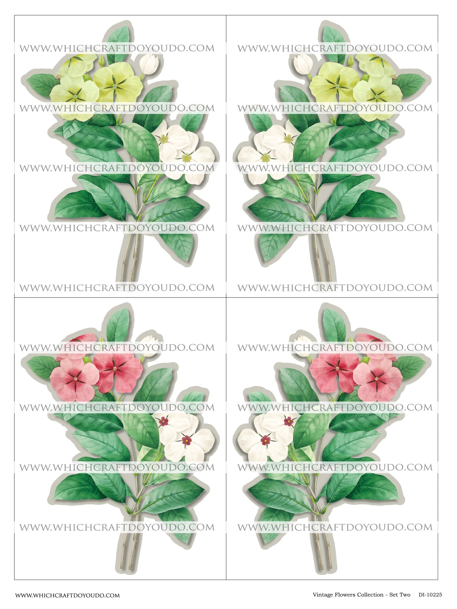 Vintage Flowers Collection - Set Two - DI-10225 - Digital Download