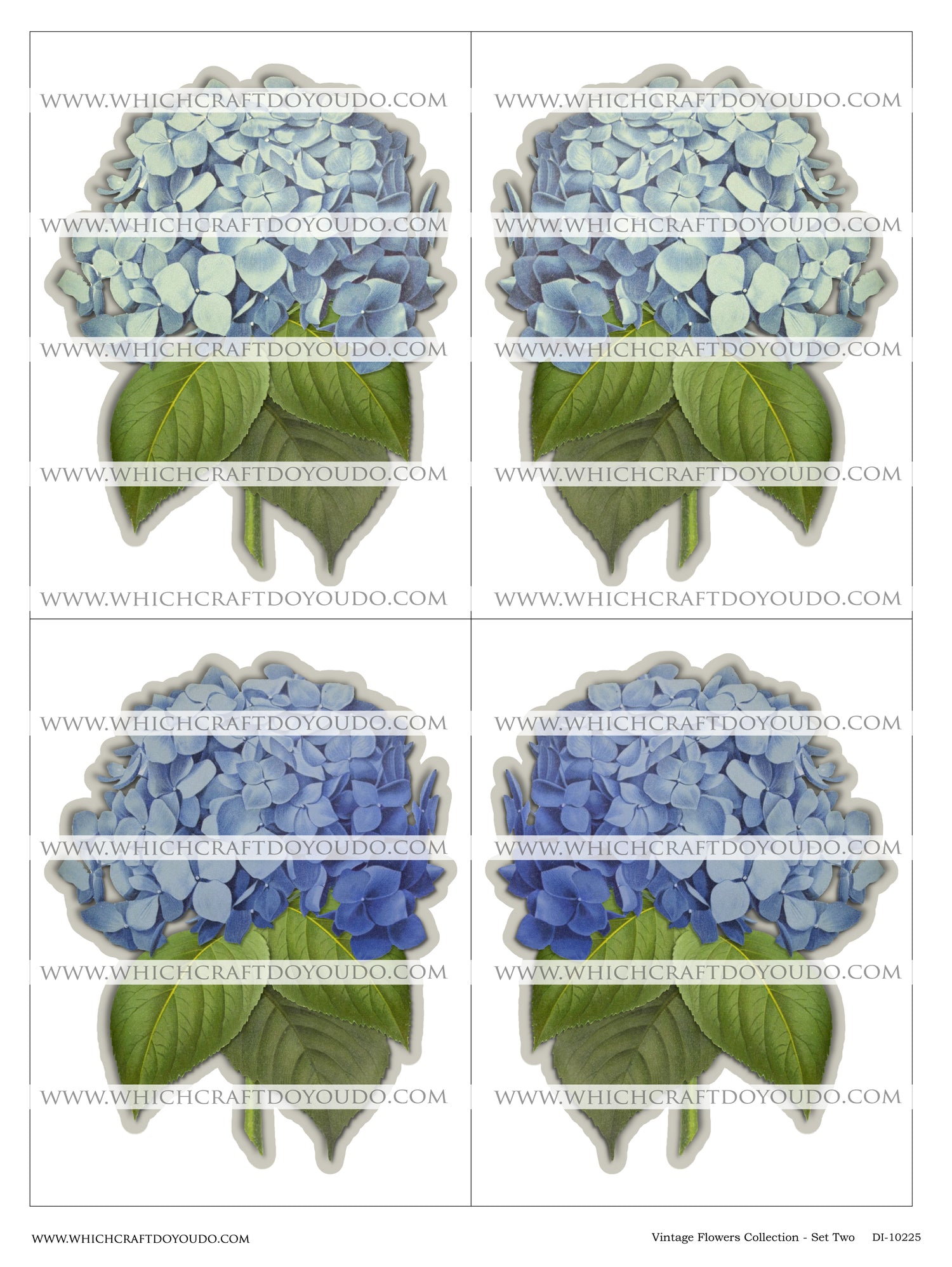 Vintage Flowers Collection - Set Two - DI-10225 - Digital Download