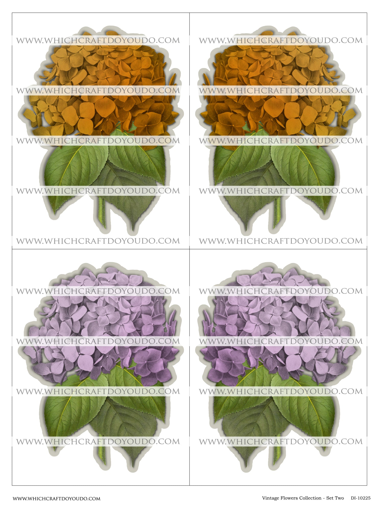 Vintage Flowers Collection - Set Two - DI-10225 - Digital Download