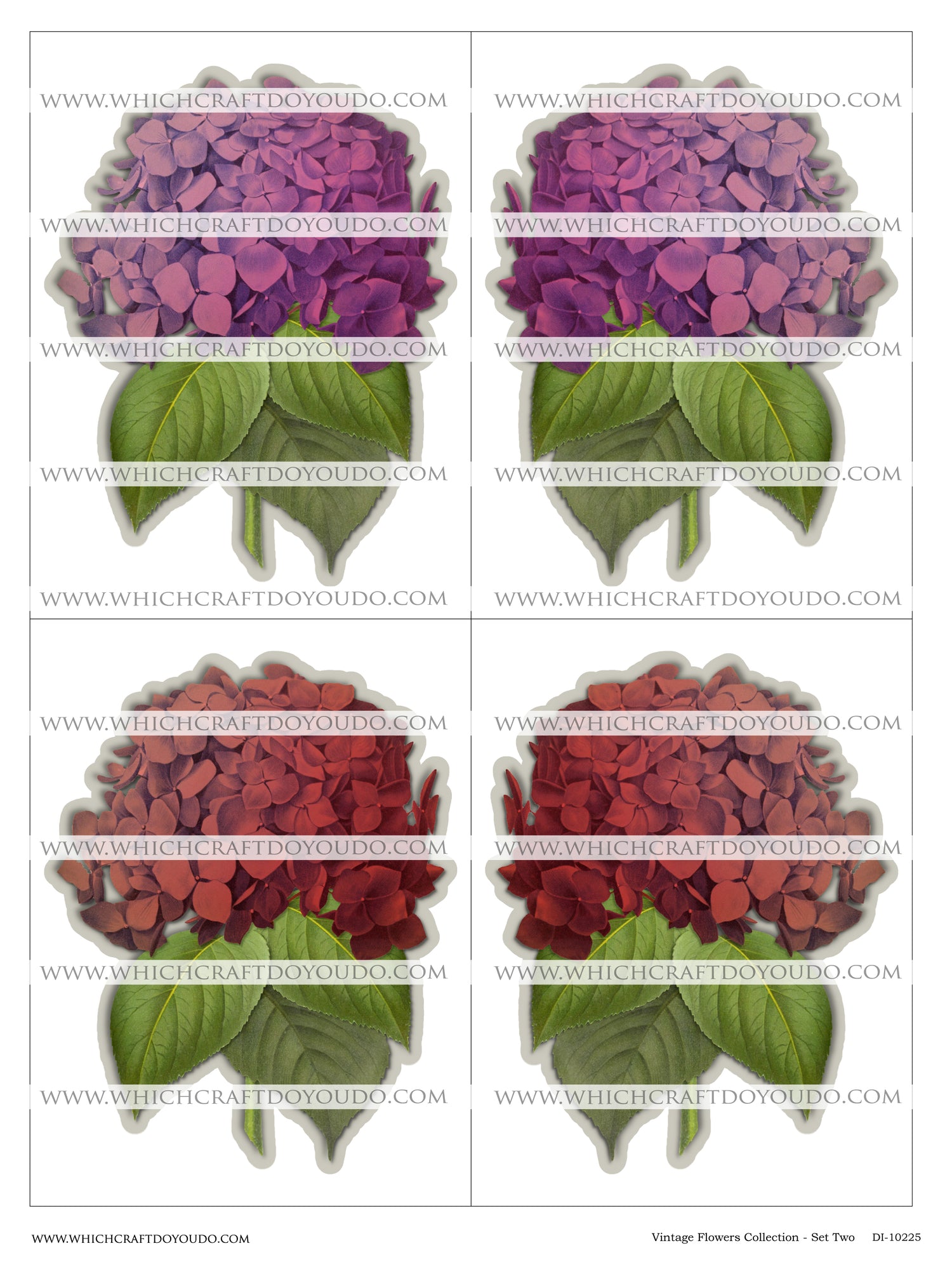 Vintage Flowers Collection - Set Two - DI-10225 - Digital Download