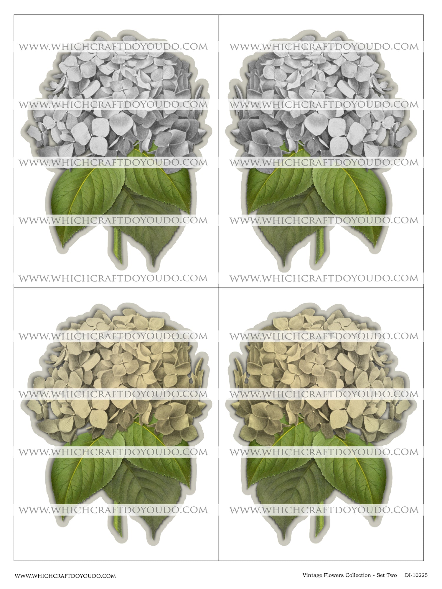 Vintage Flowers Collection - Set Two - DI-10225 - Digital Download