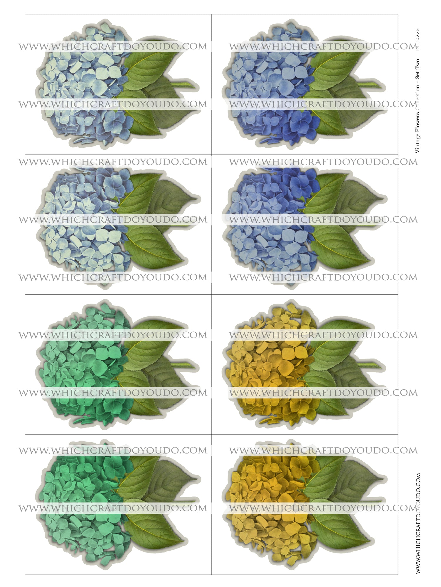 Vintage Flowers Collection - Set Two - DI-10225 - Digital Download