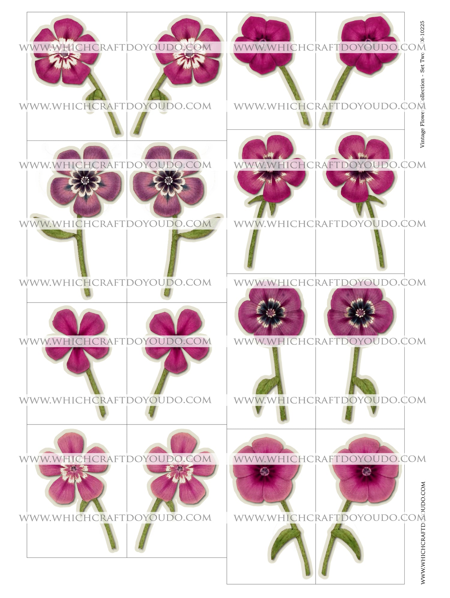 Vintage Flowers Collection - Set Two - DI-10225 - Digital Download