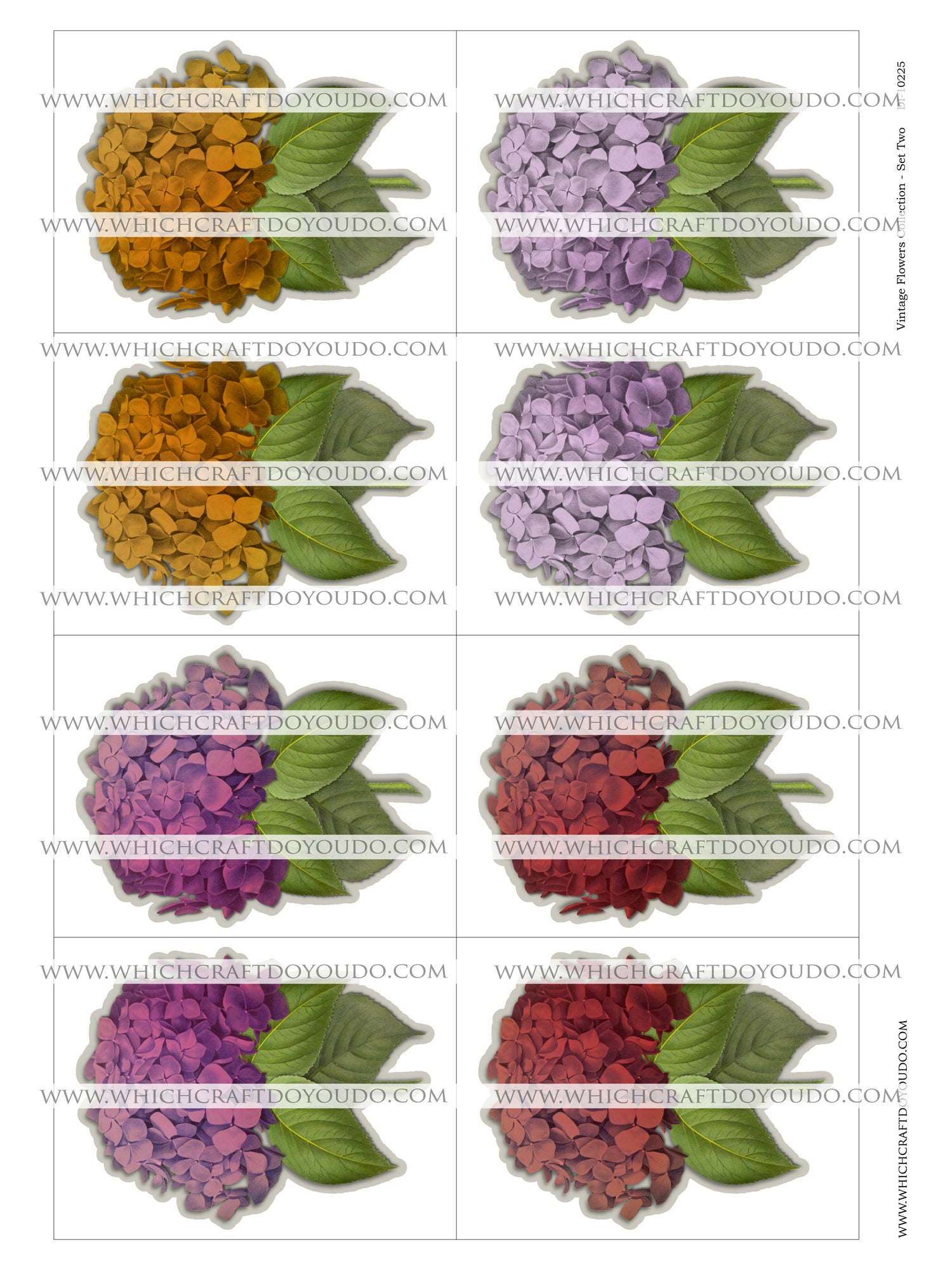 Vintage Flowers Collection - Set Two - DI-10225 - Digital Download