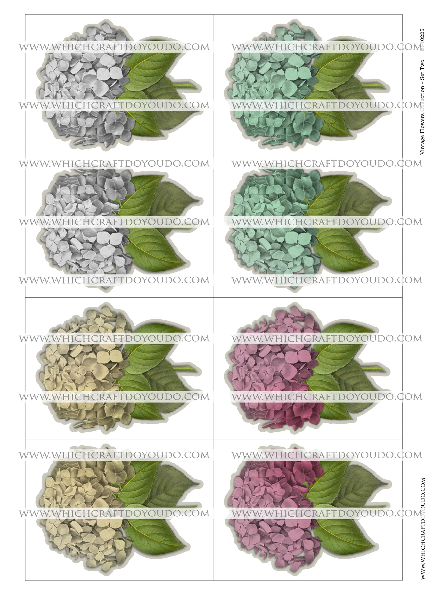 Vintage Flowers Collection - Set Two - DI-10225 - Digital Download