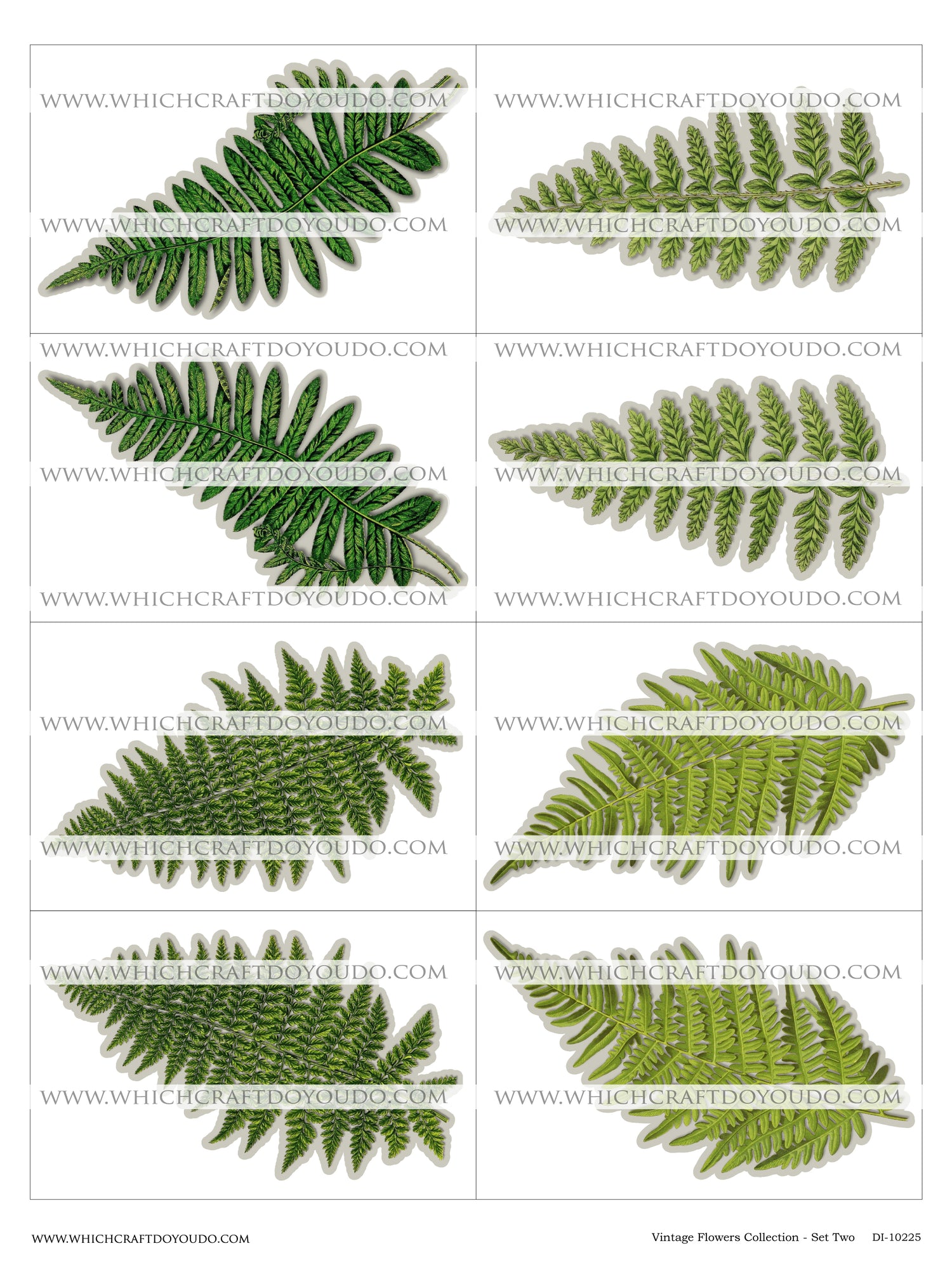 Vintage Flowers Collection - Set Two - DI-10225 - Digital Download