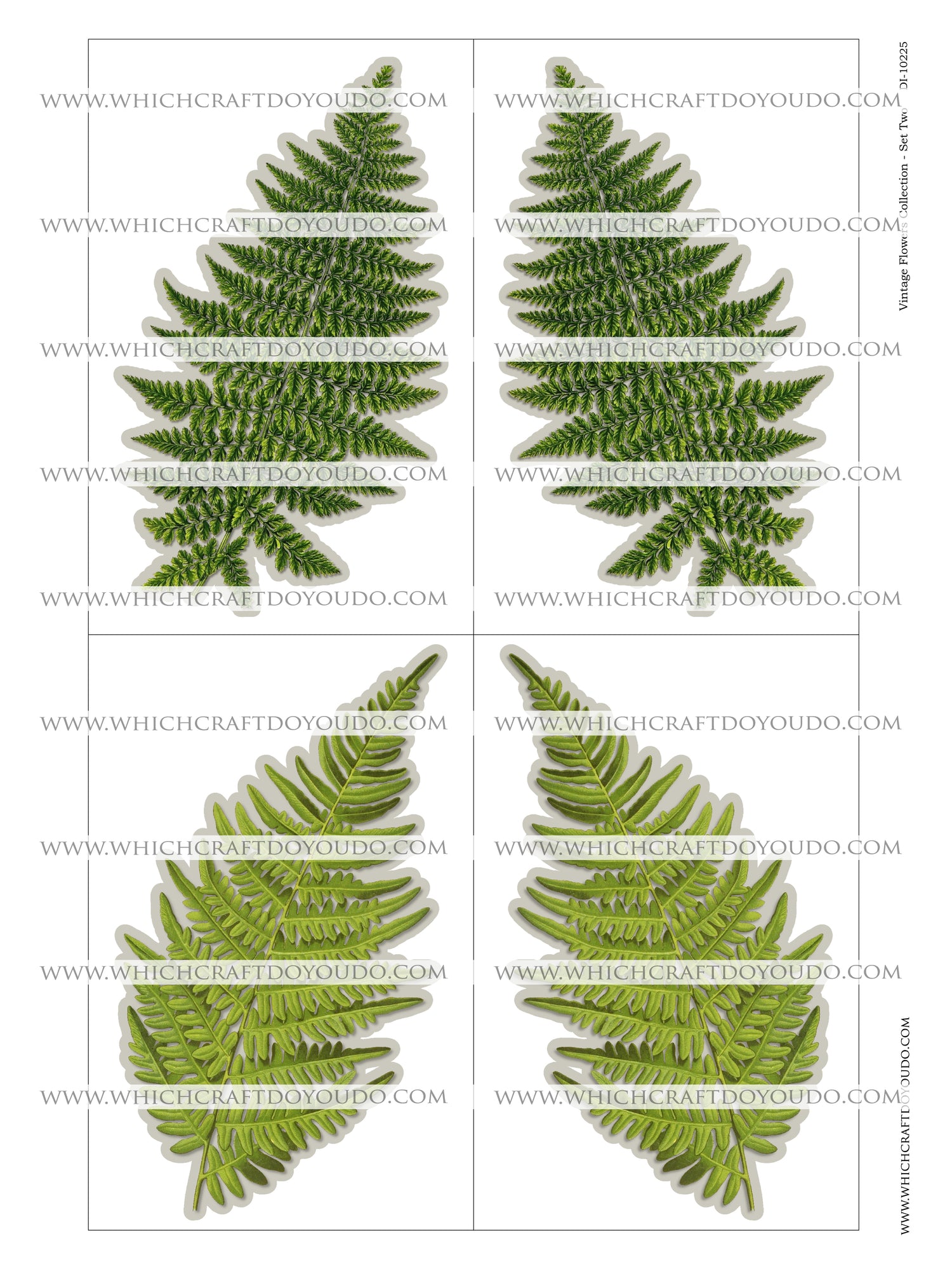 Vintage Flowers Collection - Set Two - DI-10225 - Digital Download