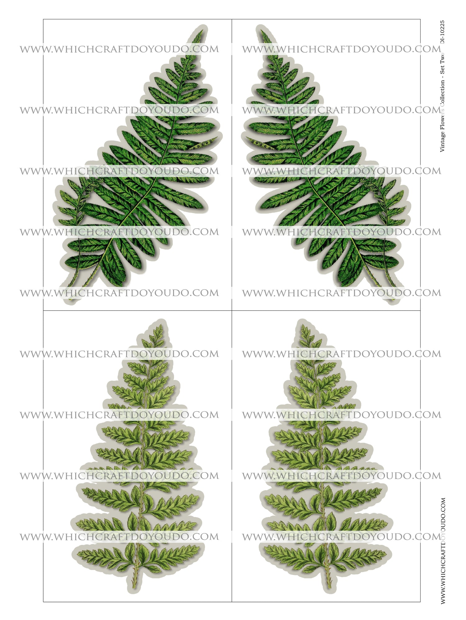 Vintage Flowers Collection - Set Two - DI-10225 - Digital Download