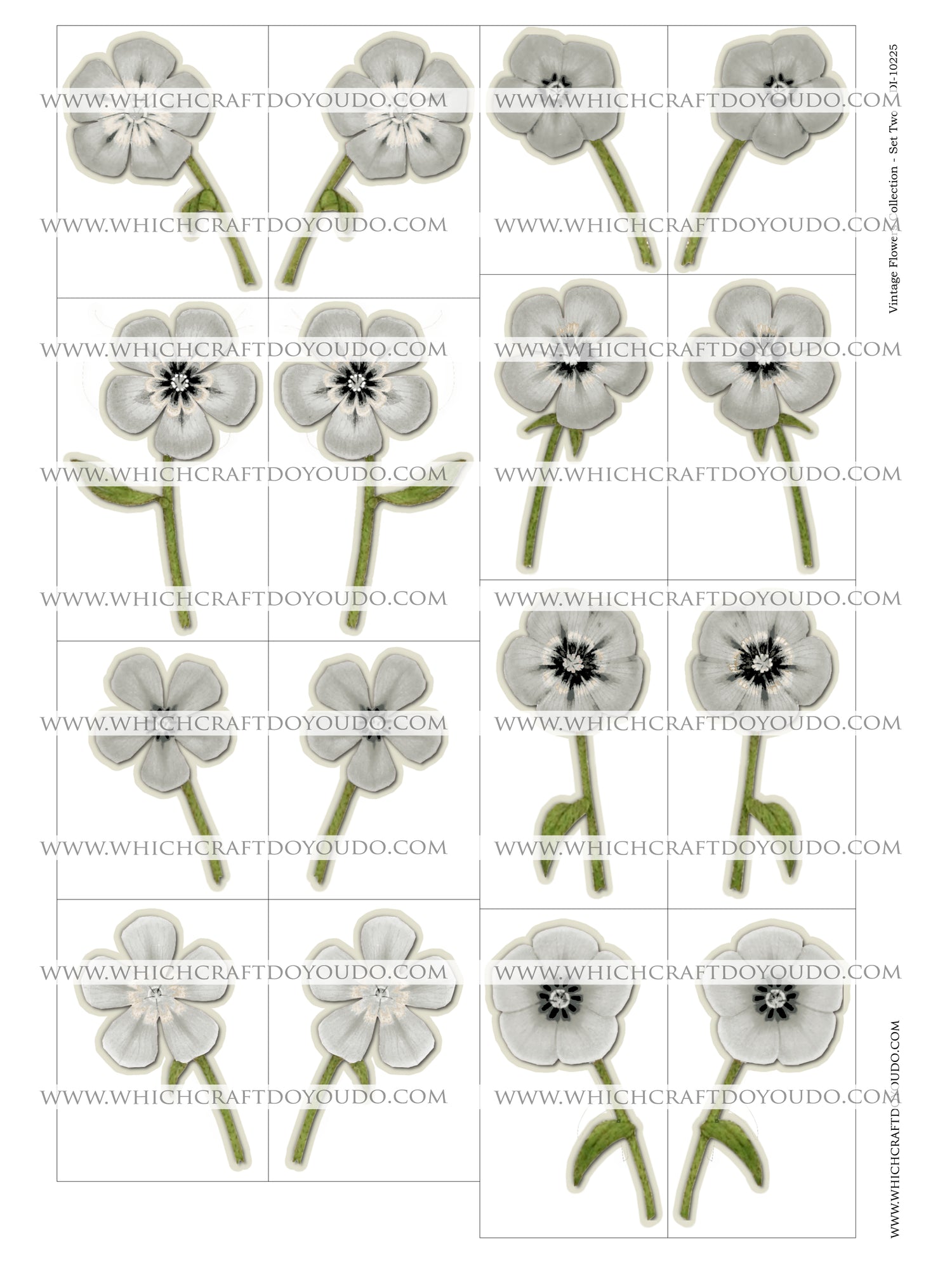 Vintage Flowers Collection - Set Two - DI-10225 - Digital Download
