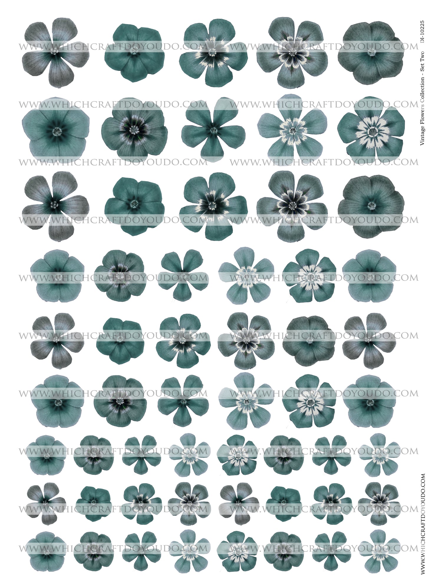 Vintage Flowers Collection - Set Two - DI-10225 - Digital Download