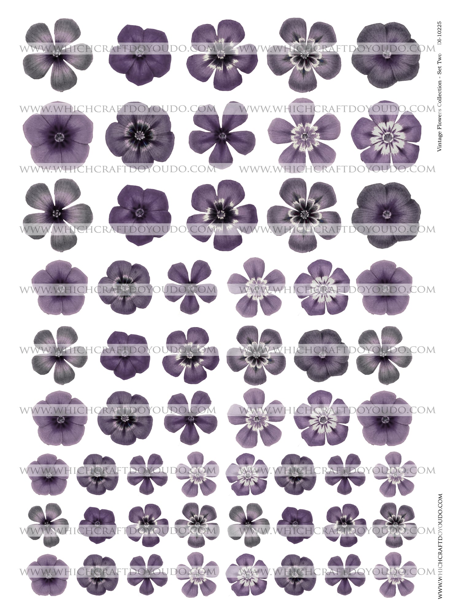 Vintage Flowers Collection - Set Two - DI-10225 - Digital Download