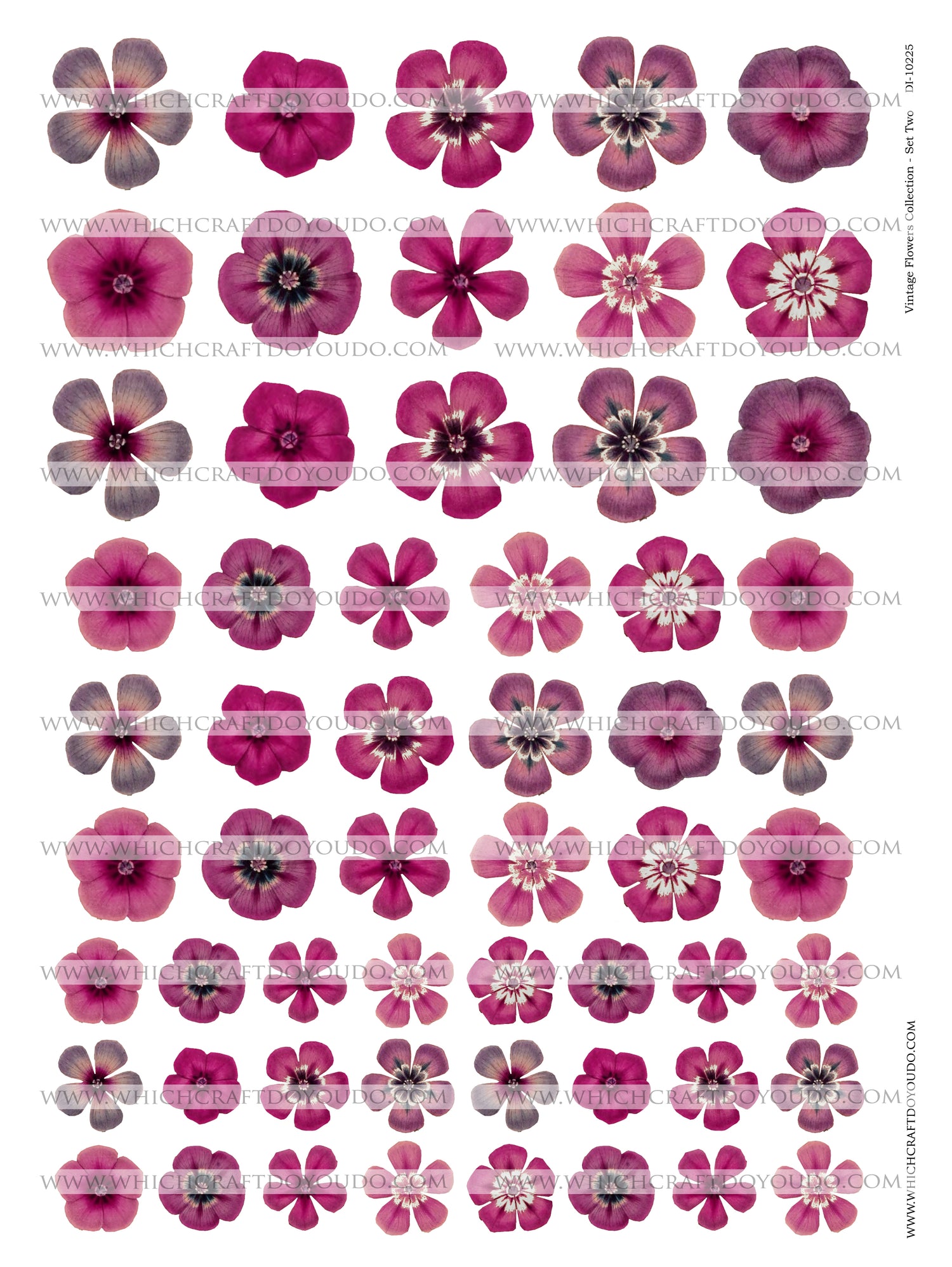 Vintage Flowers Collection - Set Two - DI-10225 - Digital Download