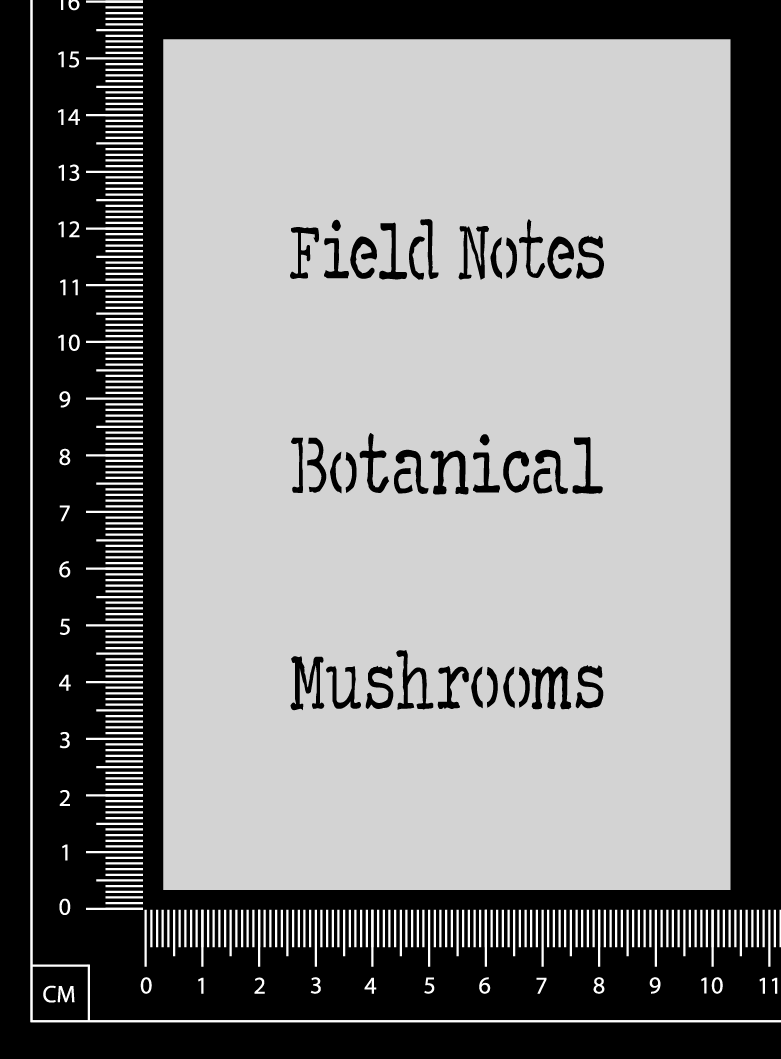 Vintage Words Set - Field Notes - Stencil - 100mm x 150mm